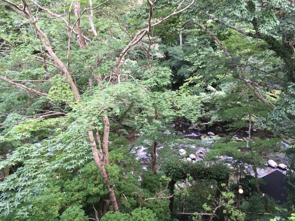 あせび野