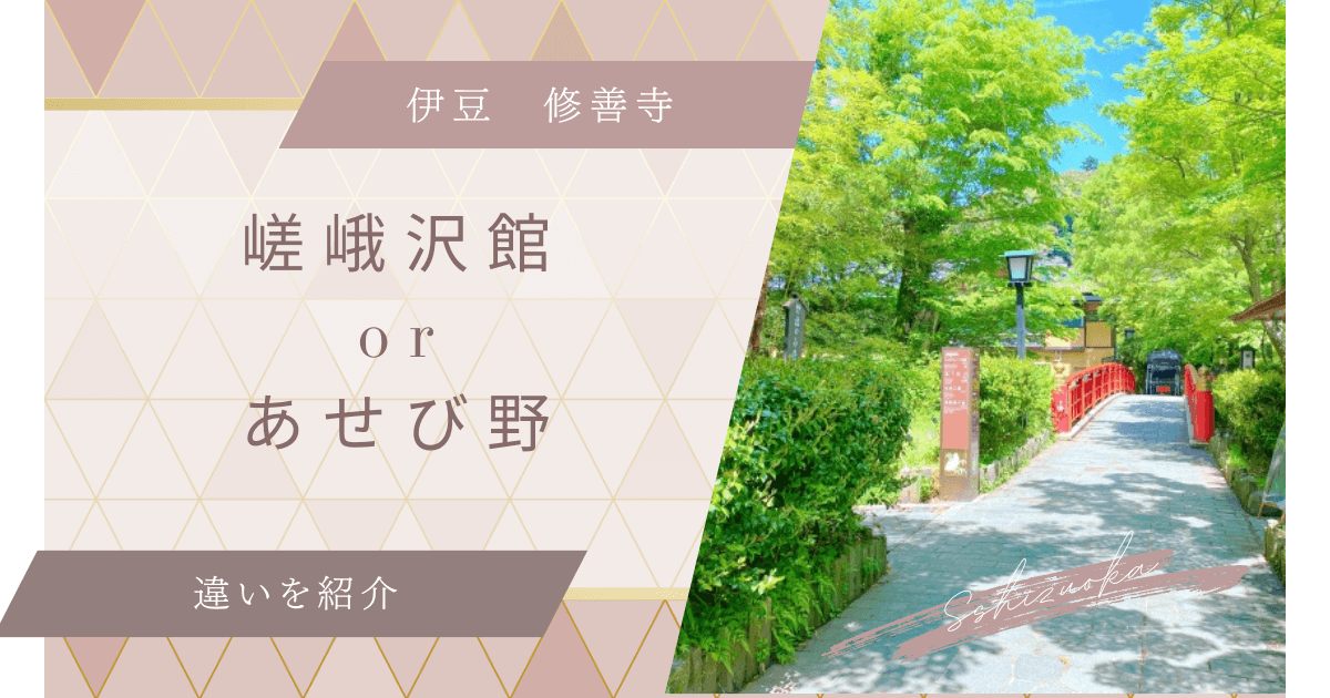 嵯峨沢館とあせび野の違いは？7つの視点で選び方とおすすめを解説！