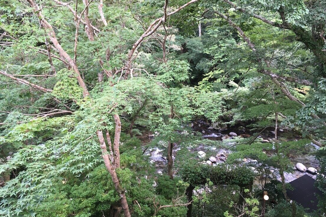 あせび野