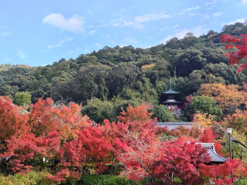 昼間の永観堂