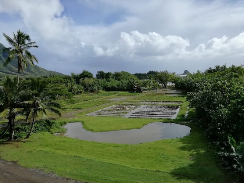 クアロアランチ牧場