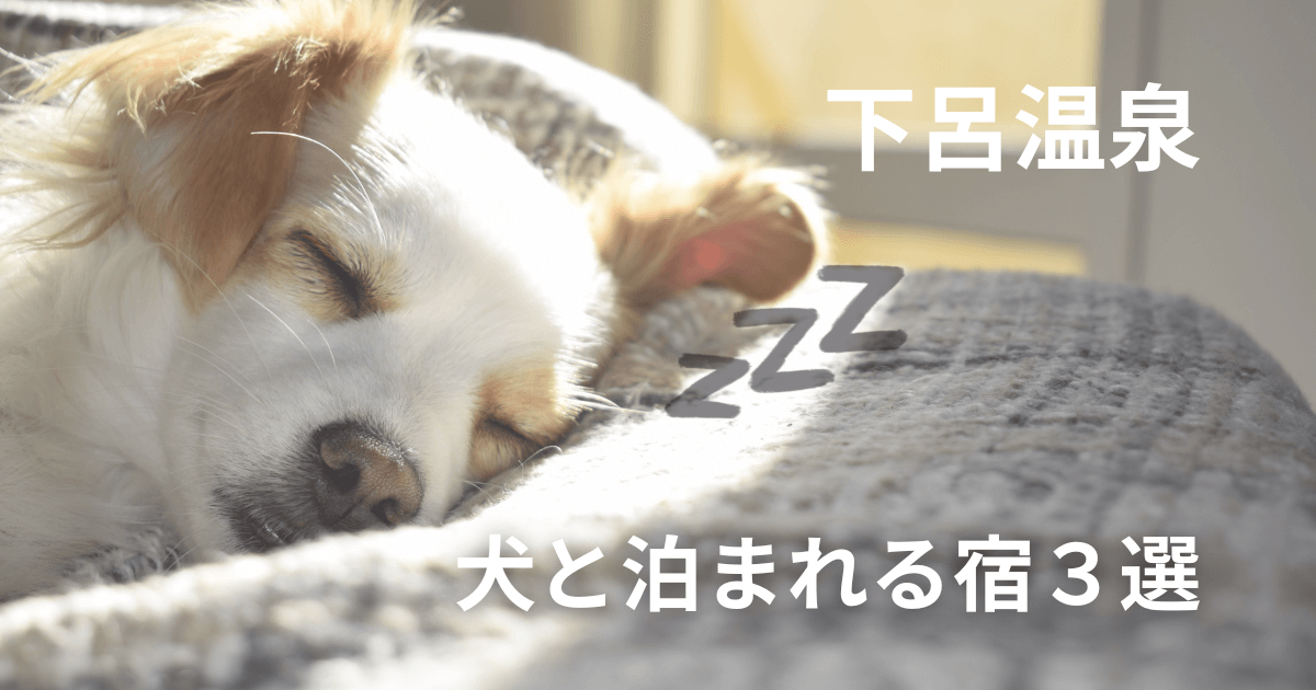 下呂温泉　犬　宿