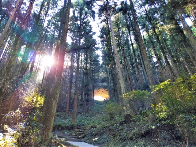 上色見熊野座神社
