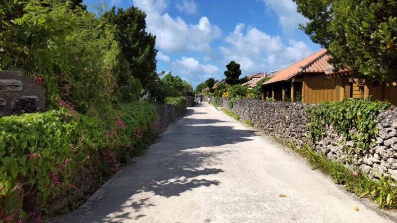 【竹富島】午前と午後どっちがおすすめ?現地体験から徹底解説!